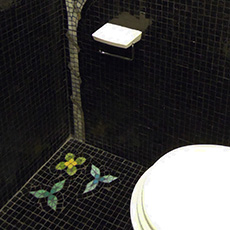 Piso arbol de damasco - Baños con Venecitas