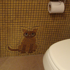 Gato chiquito - Baños con Venecitas