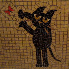 Gato negro - Baños con Venecitas