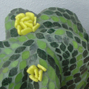 Cactus Rotado - Mosaiquismo