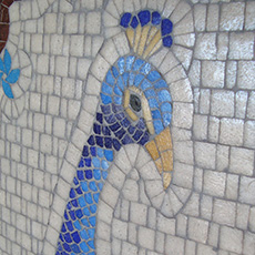 Detalle pavo real