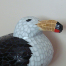 Gaviota Cangrejera - Mosaiquismo