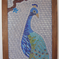 Pavo real